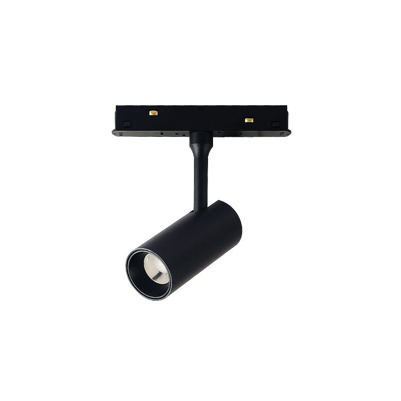 48V Magnetic Light